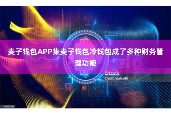 麦子钱包APP集麦子钱包冷钱包成了多种财务管理功能