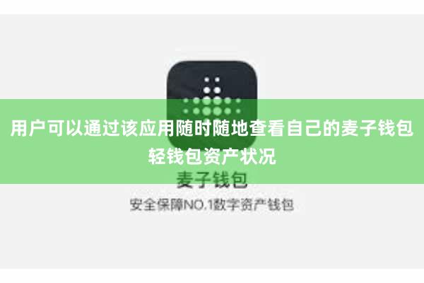 用户可以通过该应用随时随地查看自己的麦子钱包轻钱包资产状况