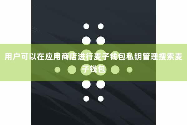 用户可以在应用商店进行麦子钱包私钥管理搜索麦子钱包