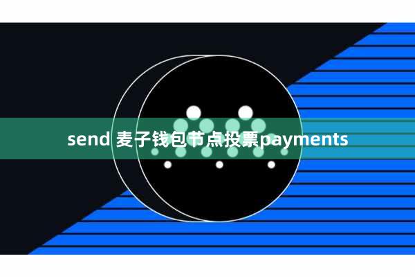 send 麦子钱包节点投票payments