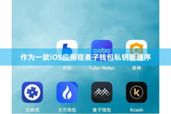作为一款iOS应用程麦子钱包私钥管理序