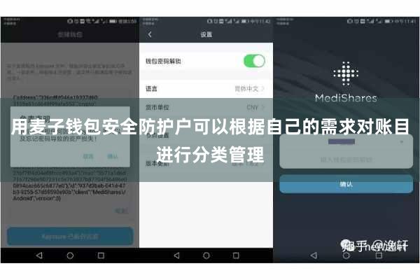 用麦子钱包安全防护户可以根据自己的需求对账目进行分类管理