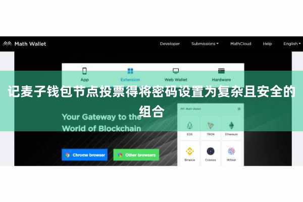 记麦子钱包节点投票得将密码设置为复杂且安全的组合