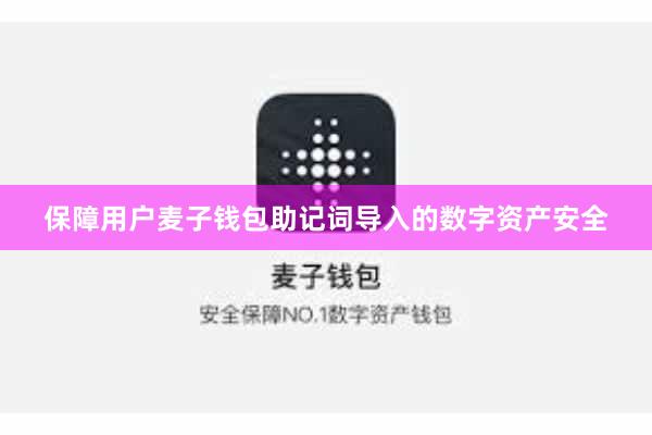 保障用户麦子钱包助记词导入的数字资产安全