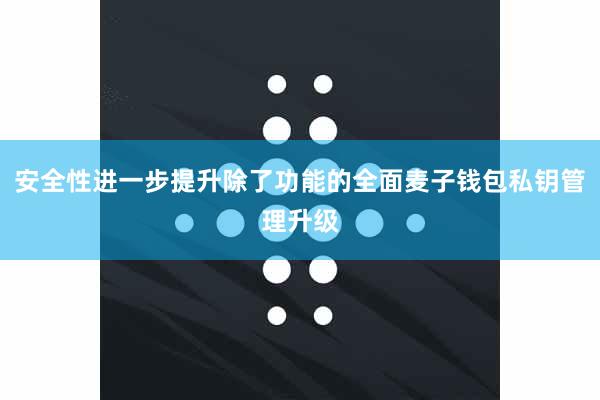 安全性进一步提升除了功能的全面麦子钱包私钥管理升级