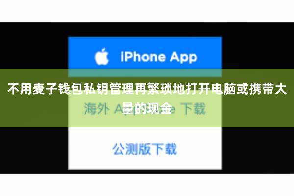 不用麦子钱包私钥管理再繁琐地打开电脑或携带大量的现金