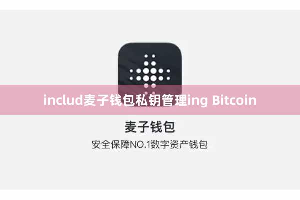 includ麦子钱包私钥管理ing Bitcoin