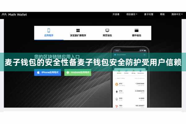 麦子钱包的安全性备麦子钱包安全防护受用户信赖