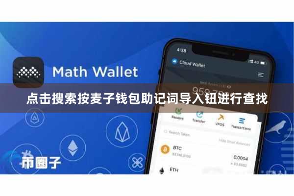 点击搜索按麦子钱包助记词导入钮进行查找
