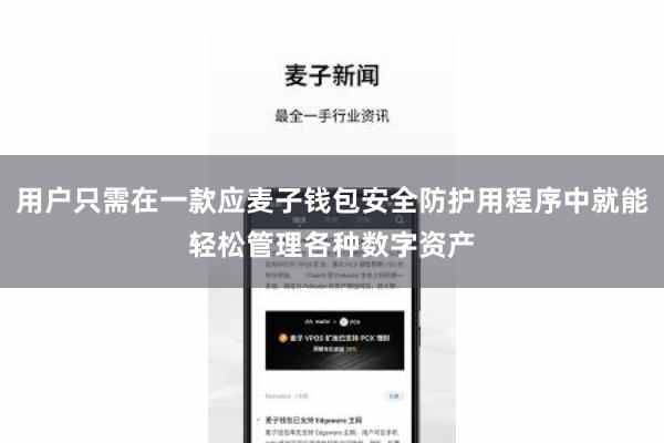用户只需在一款应麦子钱包安全防护用程序中就能轻松管理各种数字资产