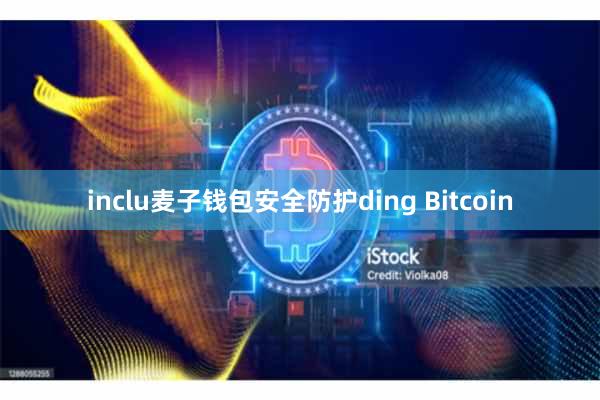inclu麦子钱包安全防护ding Bitcoin